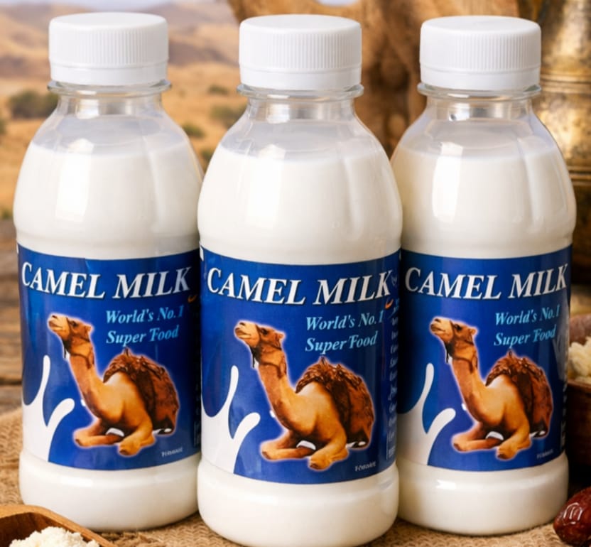 Raw Camel Milk